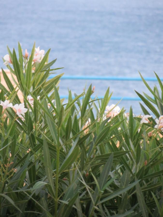 Nicolas Apartments Ierapetra  Luaran gambar
